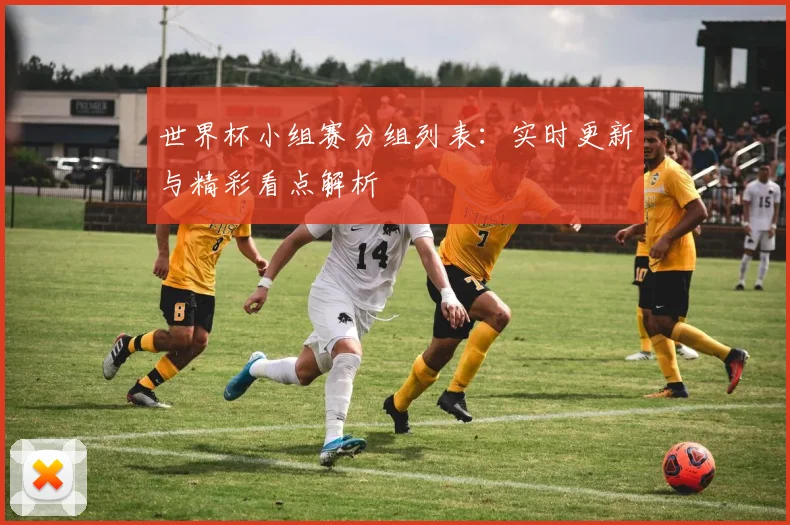 世界杯小组赛分组列表：实时更新与精彩看点解析