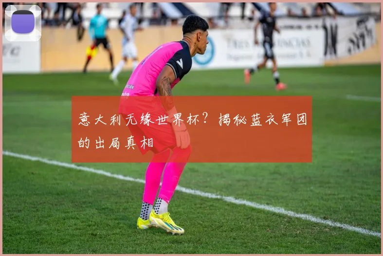 意大利无缘世界杯？揭秘蓝衣军团的出局真相
