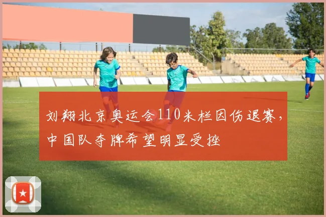 刘翔北京奥运会110米栏因伤退赛，中国队夺牌希望明显受挫