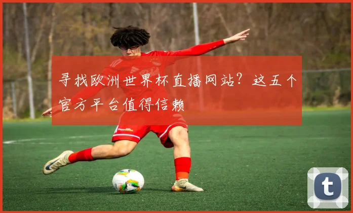寻找欧洲世界杯直播网站？这五个官方平台值得信赖
