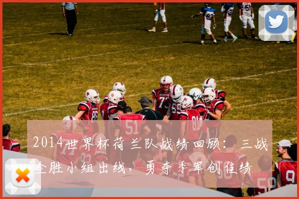 2014世界杯荷兰队战绩回顾：三战全胜小组出线，勇夺季军创佳绩